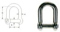 1/4" Flush Pin D Shackle Stainless Steel
