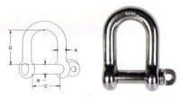 5/8" Stainless Steel D Shackle (Type 316)